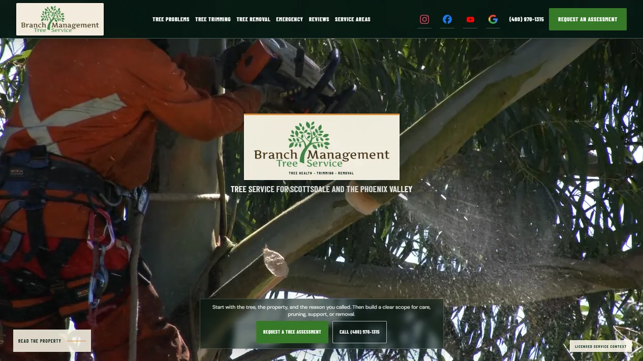 AZ Tree Doctor concept website first screen
